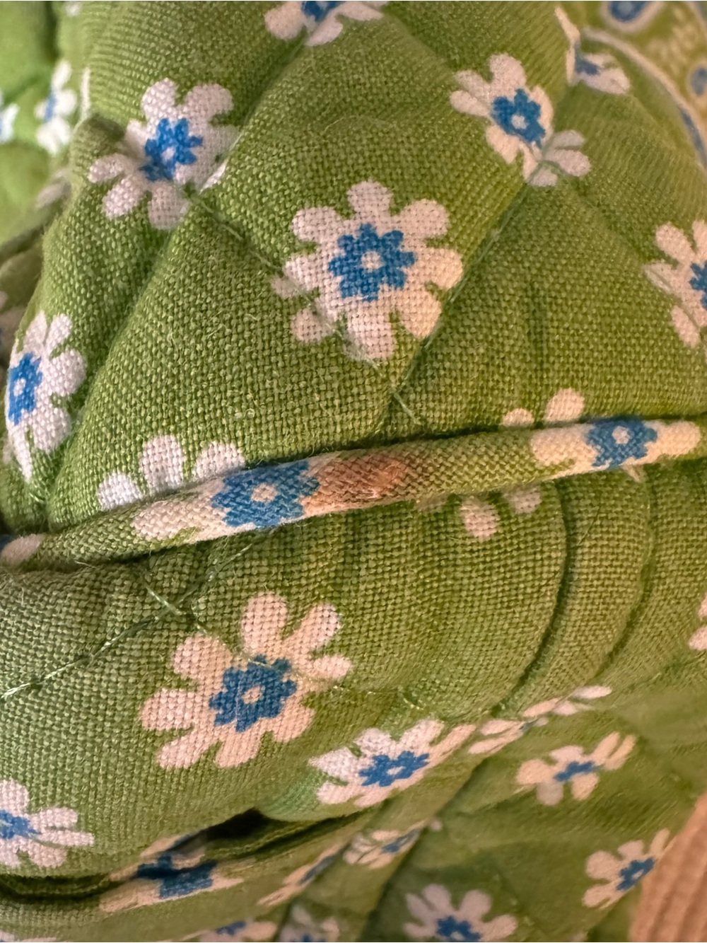 Vera Bradley 2004 Apple Green Small Backpack Retired Floral Vintage - Picture 15 of 16